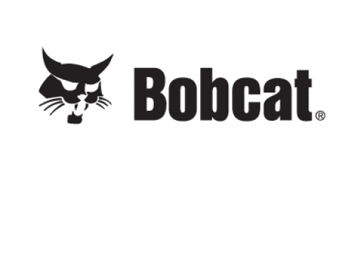 Bobcat